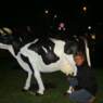 helledie2007