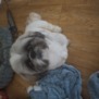 annemarie68