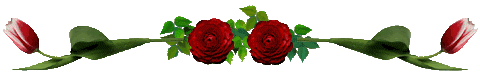 Rose 2