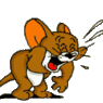 vitto