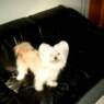 solsuite