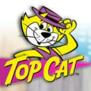 Topcat