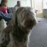 balu4ever