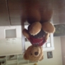 Danniboy1996