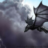 AMDWARLORD