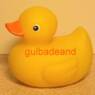 gulbadeand