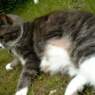 nala2005