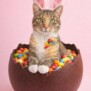 Kitty203