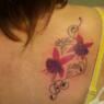 chols1