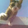 miver21dk