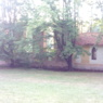 daniko2005