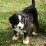 Nellie08