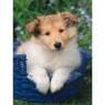 mathias8