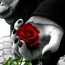 Trinse