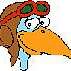 duck1