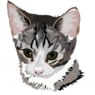 sofiecrille