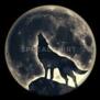 luna75