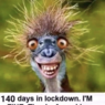 alex120