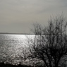 Lullerpigen
