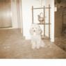 musli1