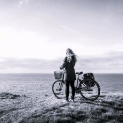image of Whist