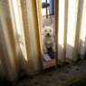 Bente2005