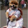 Utaiko