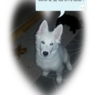 charlie1