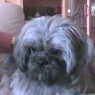 oliver04