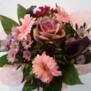 Anemone73
