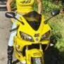 tbw83