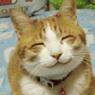 Tove58