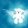 annjoy