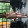 farmorsanne6