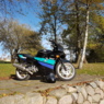 jvd77