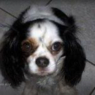 Fido1