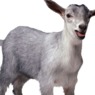 mathiasbusack12
