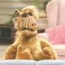 alf1974