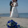 zinnet