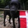 annaskjemt