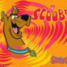 scooby16doo