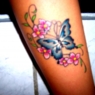 delfinen18
