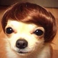 image of retep63