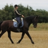 7500pigen