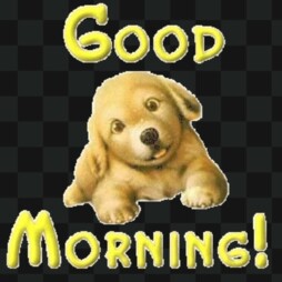 image of godeoggalmme