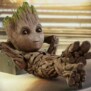 Groot2020