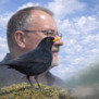BlackBirdSing