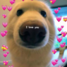 Daniboy1