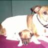 MrsDaisy2000