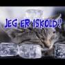 bensko